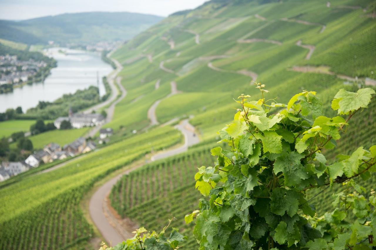 Landhaus Zum Himmelreich Graach Pokój zdjęcie